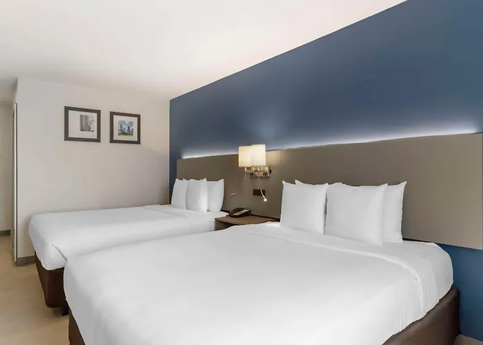 Comfort Inn & Suites Fm1960-Champions